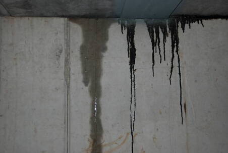 Basement wall with water damage in Norwalk, CT.